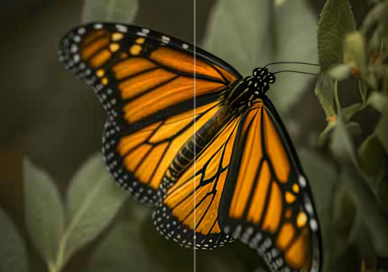 AI Image Upscaler